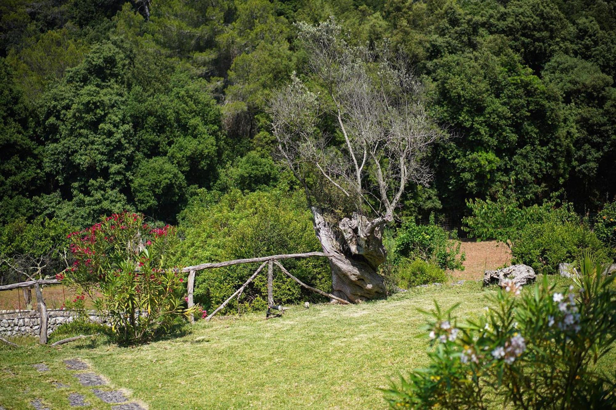 Villa Pascol *